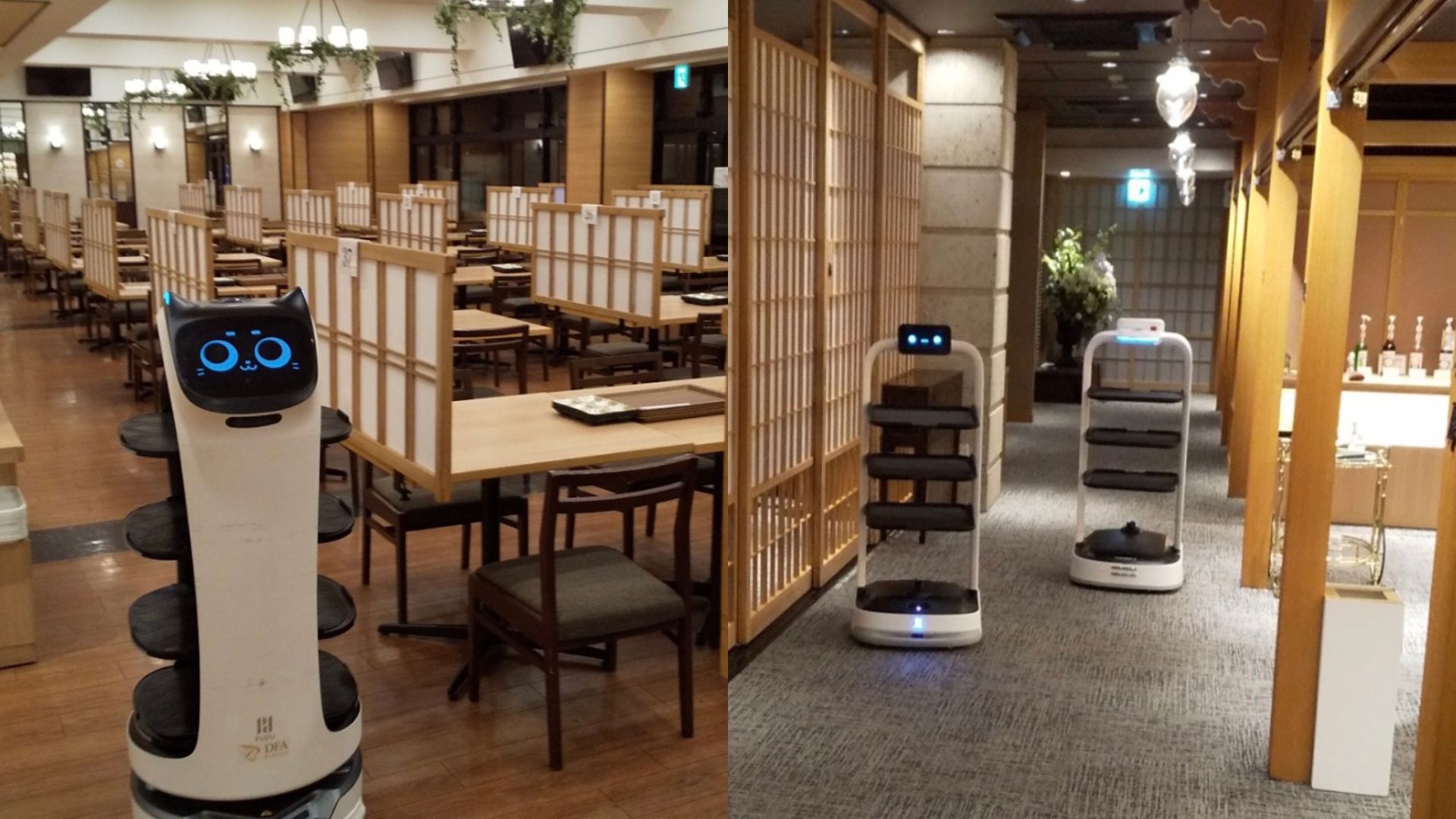配膳ロボットを5台導入。おもてなしに注力できる環境へ
