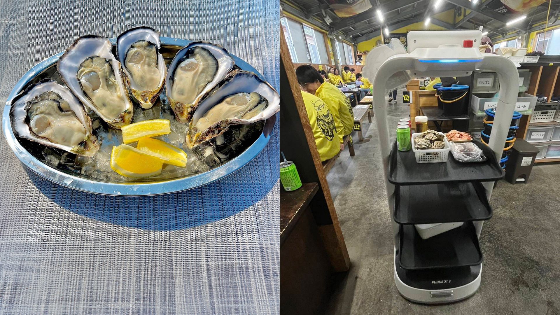 ついに牡蠣小屋でもロボットが配膳！ものづくり補助金を活用し人手不足解消。席回転率アップで売上向上
