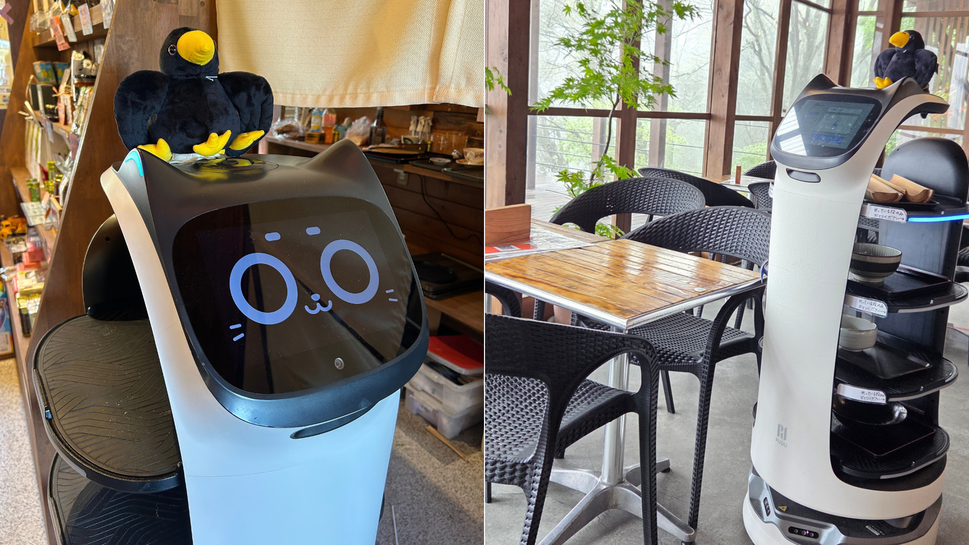 350年続く歴史ある軽井沢のカフェが配膳ロボットを導入し深刻な人手不足を解消！